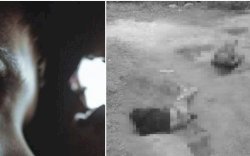 "Itu Bapakku Mau Diapakan?" Putri Korban Ungkap Detik-detik Ali Kalora Bantai Ayah dan Suaminya