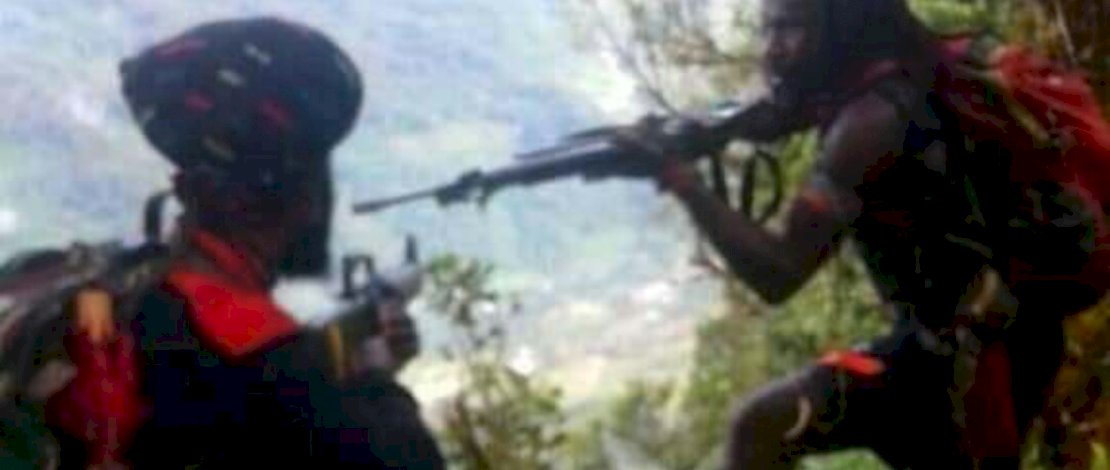 Teroris KKB Papua. Teroris KKB Papua.