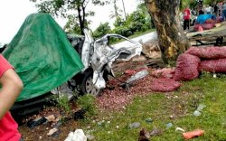 Pikap Pengangkut Bawang Oleng Lalu Tabrak Pohon, Pengemudi Asal Bantaeng Tewas