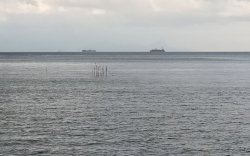 Sebut Puluhan Kapal China Masuk Indonesia, Rektor UIC Minta Prabowo Turun Tangan