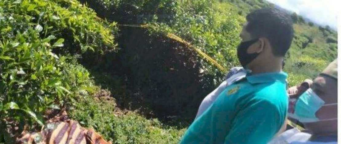 Mayat Zulkarnaini, ditemukan di kebun teh.