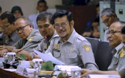 Ditentang BNN dan Polisi, Kementan Cabut Aturan Ganja Tanaman Obat
