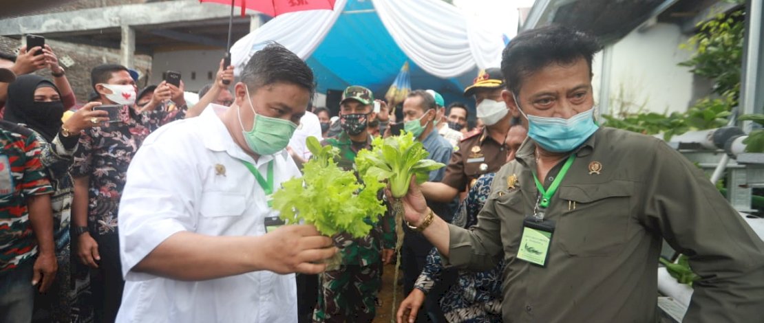 Pulang Kampung, Menteri Pertanian Tinjau Program Pekarangan Pangan Lestari di Kab Gowa