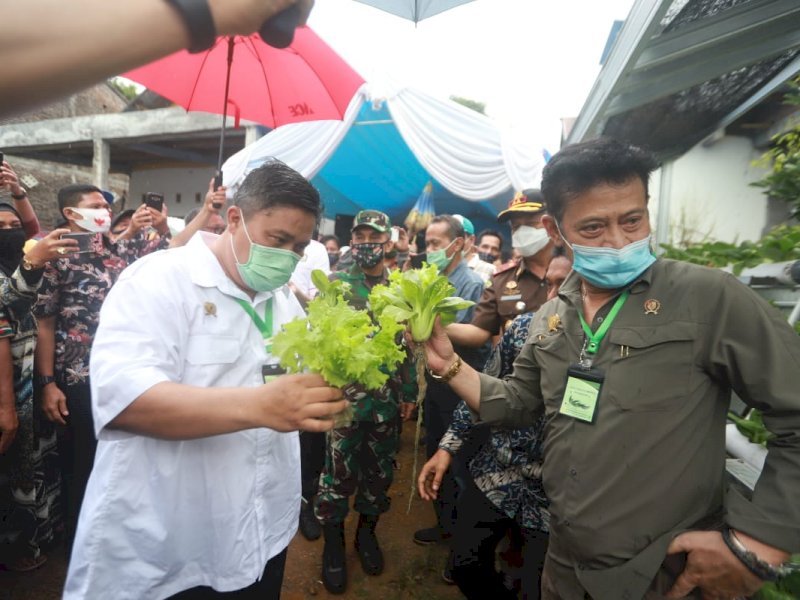 Pulang Kampung, Menteri Pertanian Tinjau Program Pekarangan Pangan Lestari di Kab Gowa