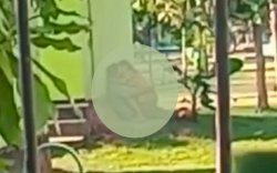 Viral Sejoli Bercumbu di Taman hingga Guru Mesum Untuk Akhiri Cinta Terlarang