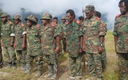 Diajak Berunding TNI-Polri, OPM: "Ajak Juga PBB"