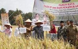 Ketahanan Pangan Menjadi Hal Utama di Tengah Pandemi Covid-19