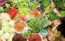 Papua Jadi Pilihan Jokowi Wujudkan Impian Bangun Lumbung Pangan di Indonesia 