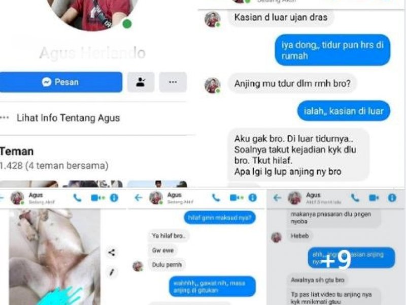 Mengaku dari Gowa, Pria Ini Setubuhi Anjingnya di Hutan
