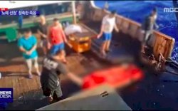 Jenazah ABK WNI Dibuang ke Laut, Kemenlu Panggil Dubes China