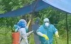 Dua Pasien Corona di Kendari Meninggal, Salah Satunya Bayi 10 Bulan