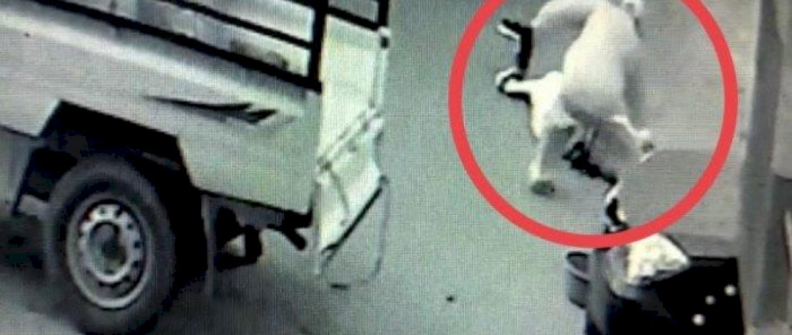 Tangkapan layar rekaman CCTV pada detik-detik pembunuhan Ahmad Jayadi oleh mantan sopirnya.