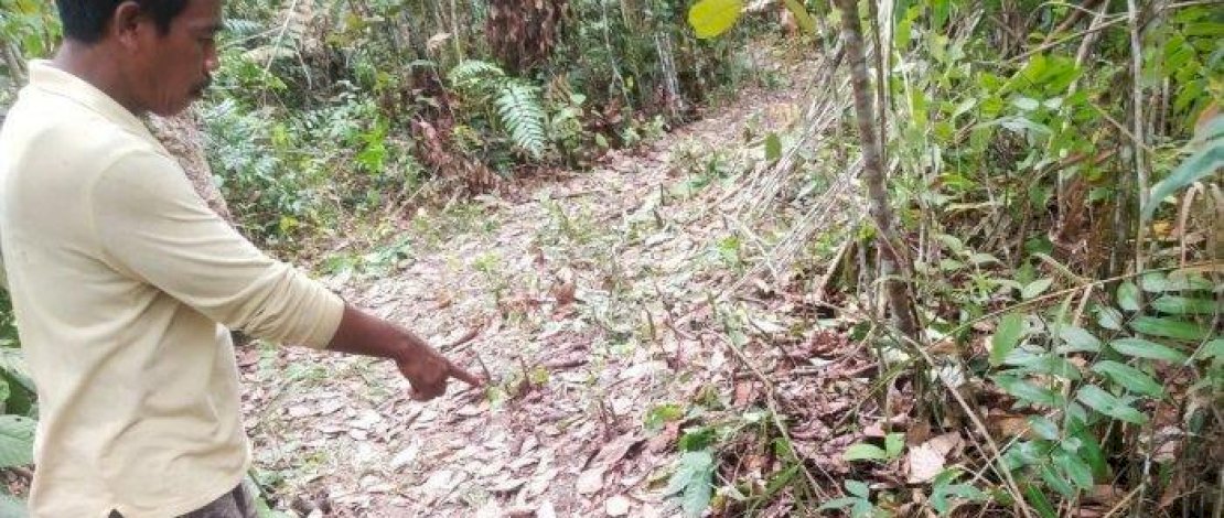 Lokasi penemuan mayat gadis 10 tahun dan penangkapan pelaku pembunuhan.