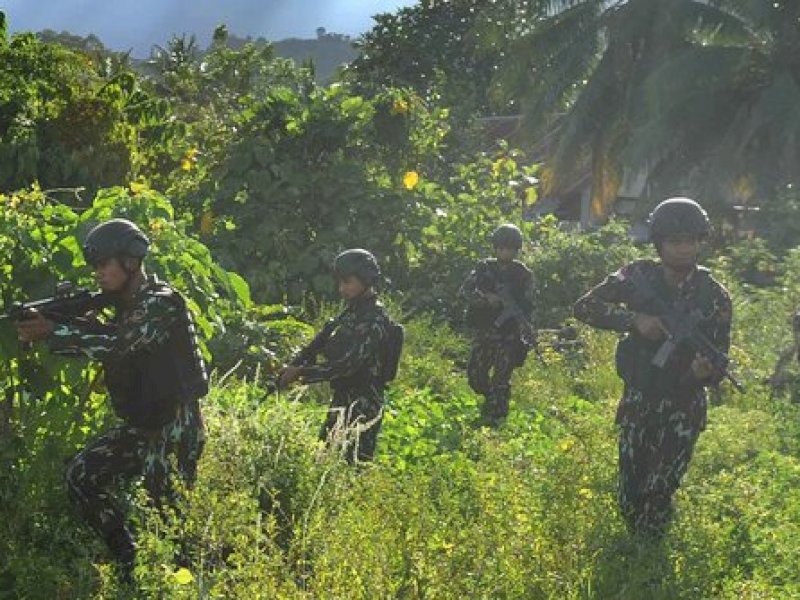 DPR Soroti Strategi TNI Tangani Situasi Keamanan di Papua