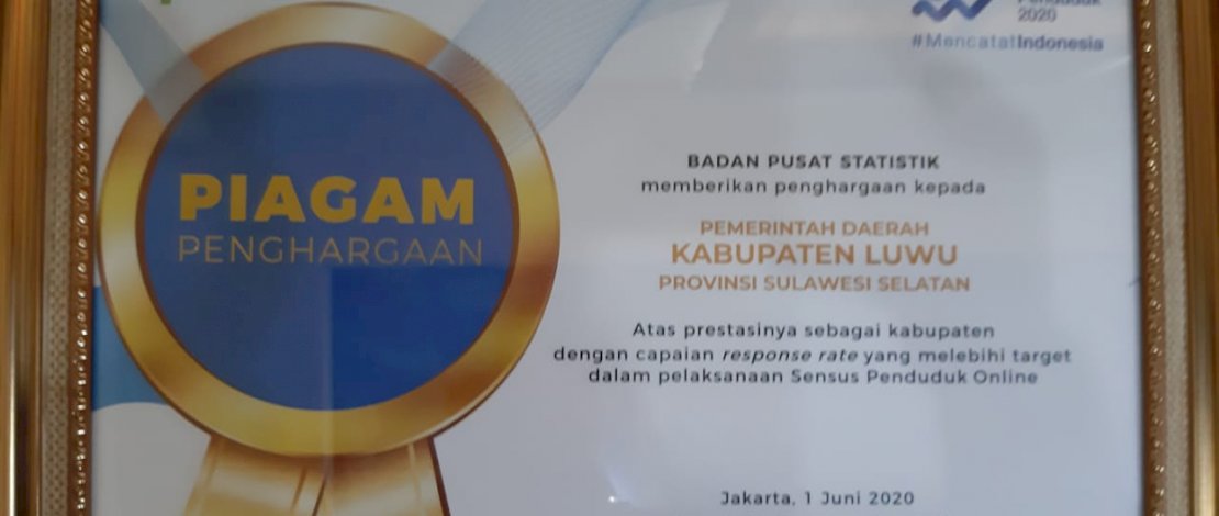 Piagam penghargaan dari BPS.