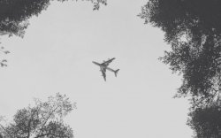 Pesawat Milik TNI AU Ditembak di Papua