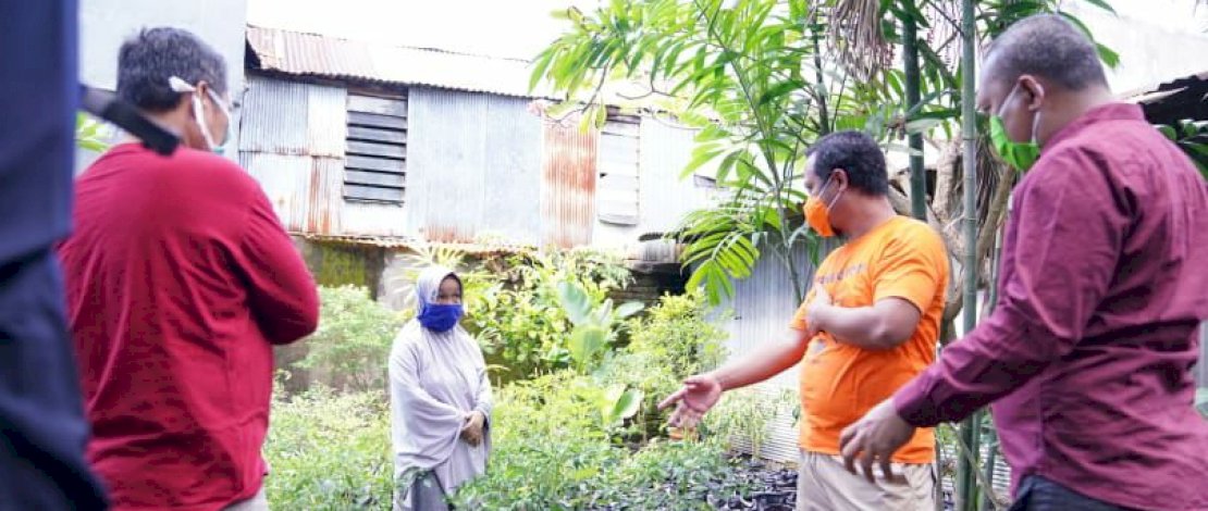 Bantu Bibit Sayur dan Ikan, Wagub Sulsel: Ini Stimulan Ketahanan Pangan Saat Covid-19