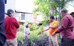 Bantu Bibit Sayur dan Ikan, Wagub Sulsel: Ini Stimulan Ketahanan Pangan Saat Covid-19