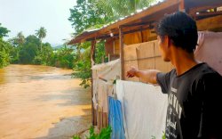 Banjir Rendam Tiga Desa di Luwu, Rumah Sekda Ikut Terendam