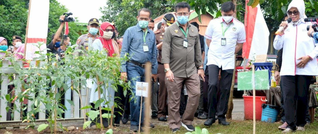 Mentan Tinjau Progam P2L di Desa Borong Pa'lala Gowa
