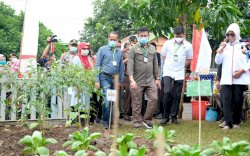 Mentan Tinjau Progam P2L di Desa Borong Pa'lala Gowa