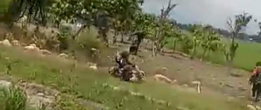 Peristiwa pembacokan terhadap petugas yang membuat petugas melakukan tindakan terukur. (Sumber foto: detik)