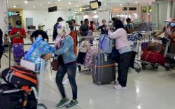 Ada TKI yang Terpaksa Makan Tikus Saat Malaysia Lockdown