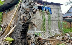 Ini Deratan 10 Negara Miskin di Asia, Ada Indonesia? 