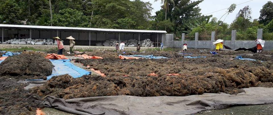 Nenek Ardi (kiri) bersama seorang karyawan wanita lainnya. 