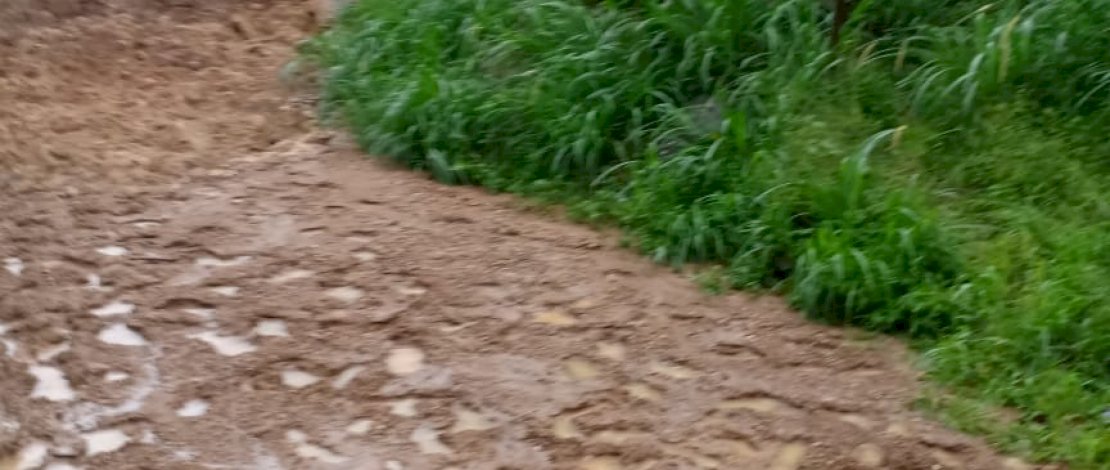 Tanah longsor di Desa Belong Paloe, Kecamatan Rumbia. Tanah longsor di Desa Belong Paloe, Kecamatan Rumbia.