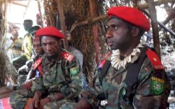 Diserang TNI Saat Fokus Hadapi Corona, Komandan OPM Mengadu ke Panglimanya