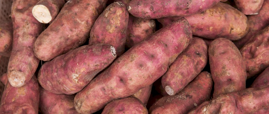 Punya Potensi Besar, Indonesia Mulai Dorong Komoditas Ubi Jalar