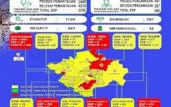 Update Covid-19 di Sumatera Selatan,  6.763 Jadi ODP
