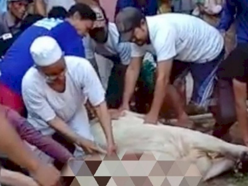 Begini Detik-detik Ustaz Asmala Meninggal Saat Tengah Menyembelih Kurban