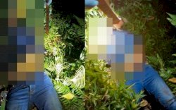 Terkuak Penyebab Tewasnya Wanita Berambut Pirang, Pelaku Kesal Ditagih Korban Rp40 Juta