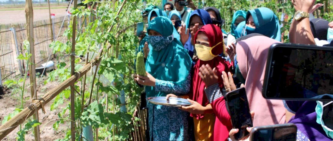 HKG PKK ke-48, PKK Kab Takalar Gelar Lomba Kelompok Wanita Tani