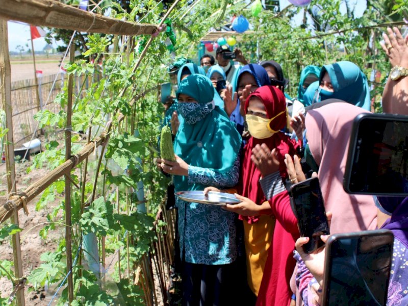 HKG PKK ke-48, PKK Kab Takalar Gelar Lomba Kelompok Wanita Tani