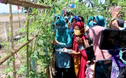 HKG PKK ke-48, PKK Kab Takalar Gelar Lomba Kelompok Wanita Tani