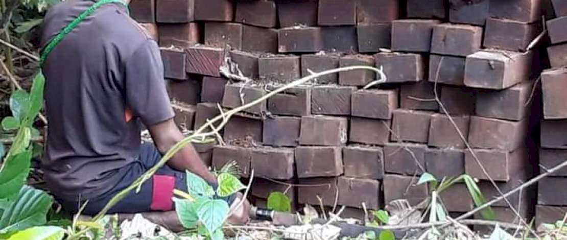 Barang bukti ilegal logging di Bintuni.