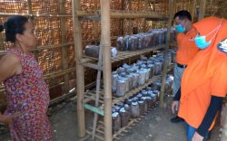 Anir-Lutfi Komitmen Permudah Warga Pangkep Terima Bantuan Modal UMKM
