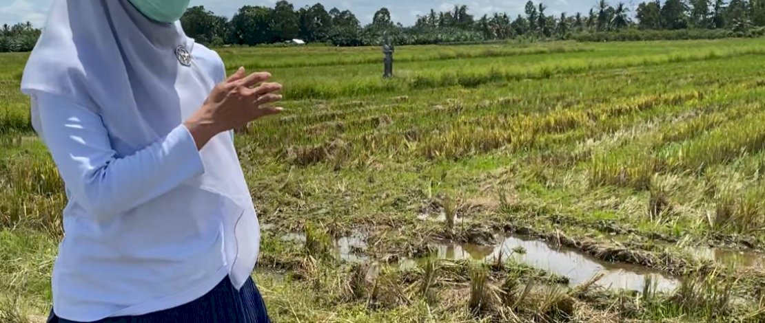 Usai Debat di Makassar, IDP Langsung ke Sawah