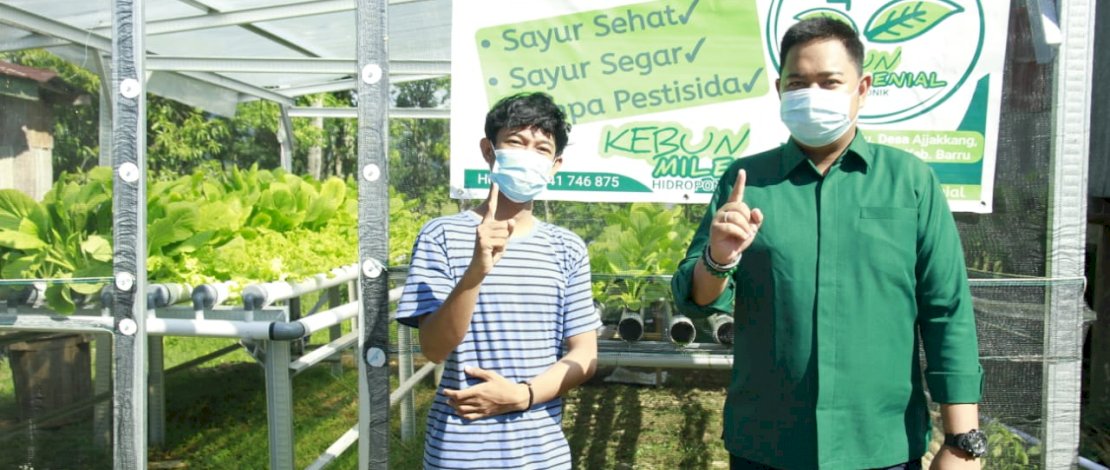 Mudassir Bantu Pemuda Ajakkang Kembangkan Budi Daya Hidroponik