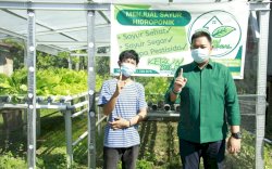 Mudassir Bantu Pemuda Ajakkang Kembangkan Budi Daya Hidroponik