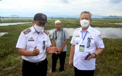 Yusran Optimis Produksi Pangan Makassar Bisa Meningkat di Tengah Pandemi